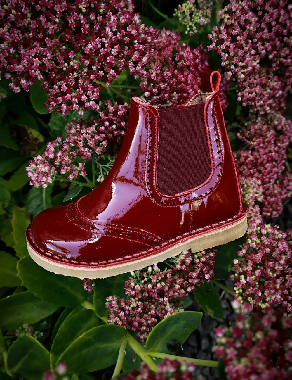 Ankle Boot Stars - Cherry Patent