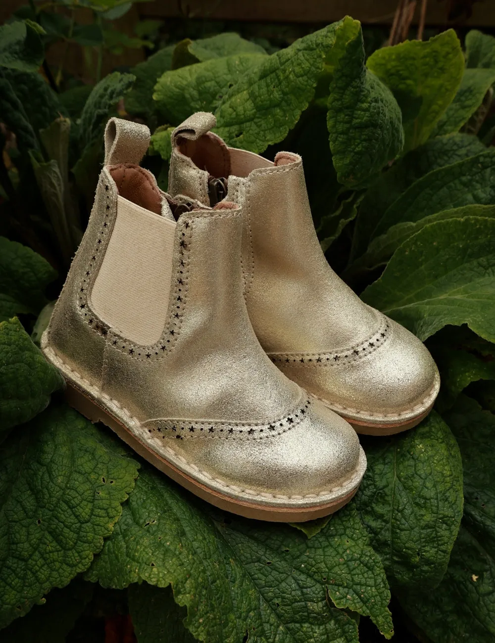 Ankle Boot Stars - Goldie