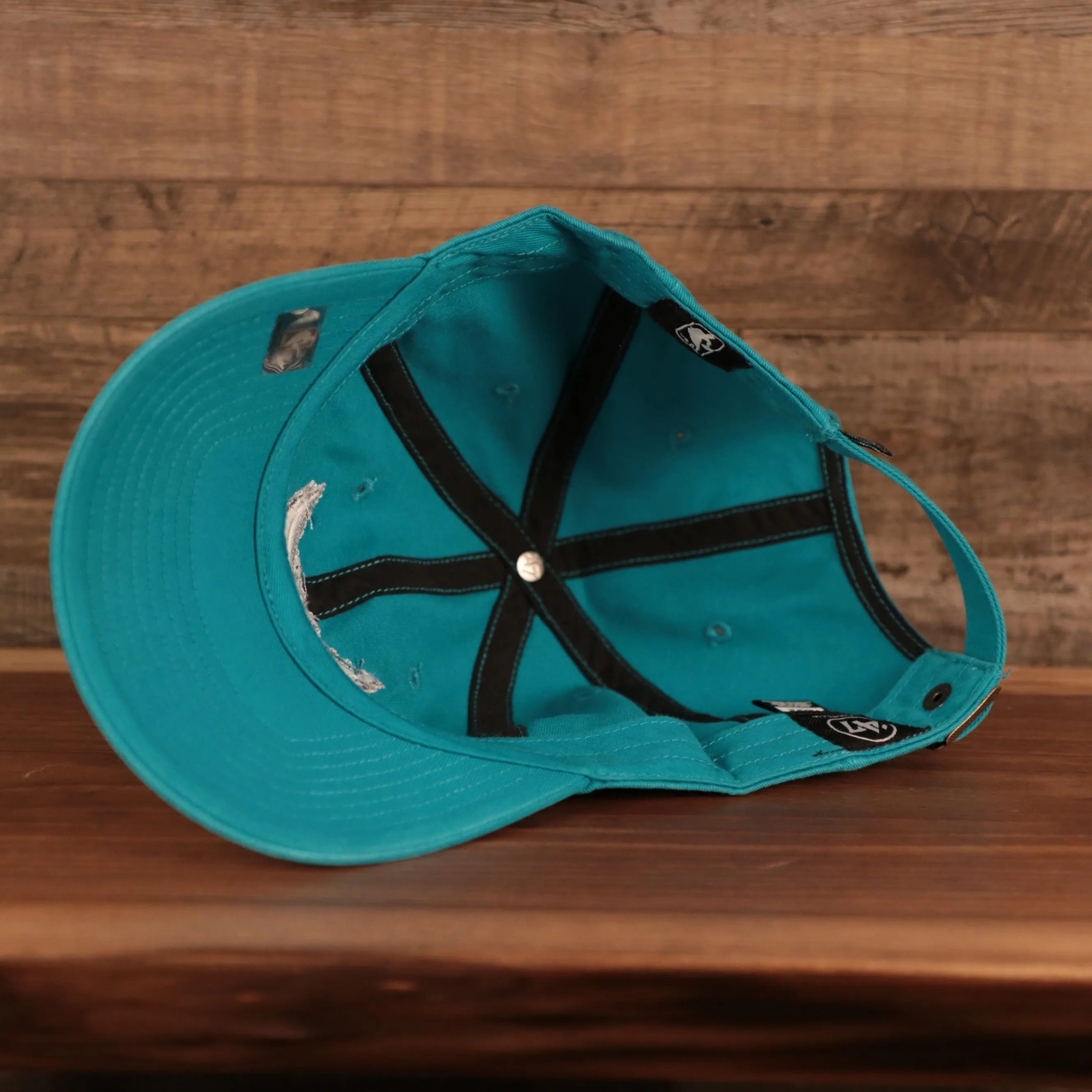 Charlotte Hornets Cyan Adjustable Dad Hat