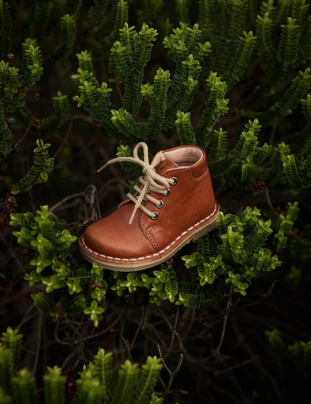 Classic Boot - Cognac