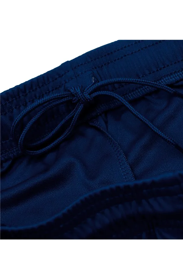 Nike Dri-FIT Shorts Navy