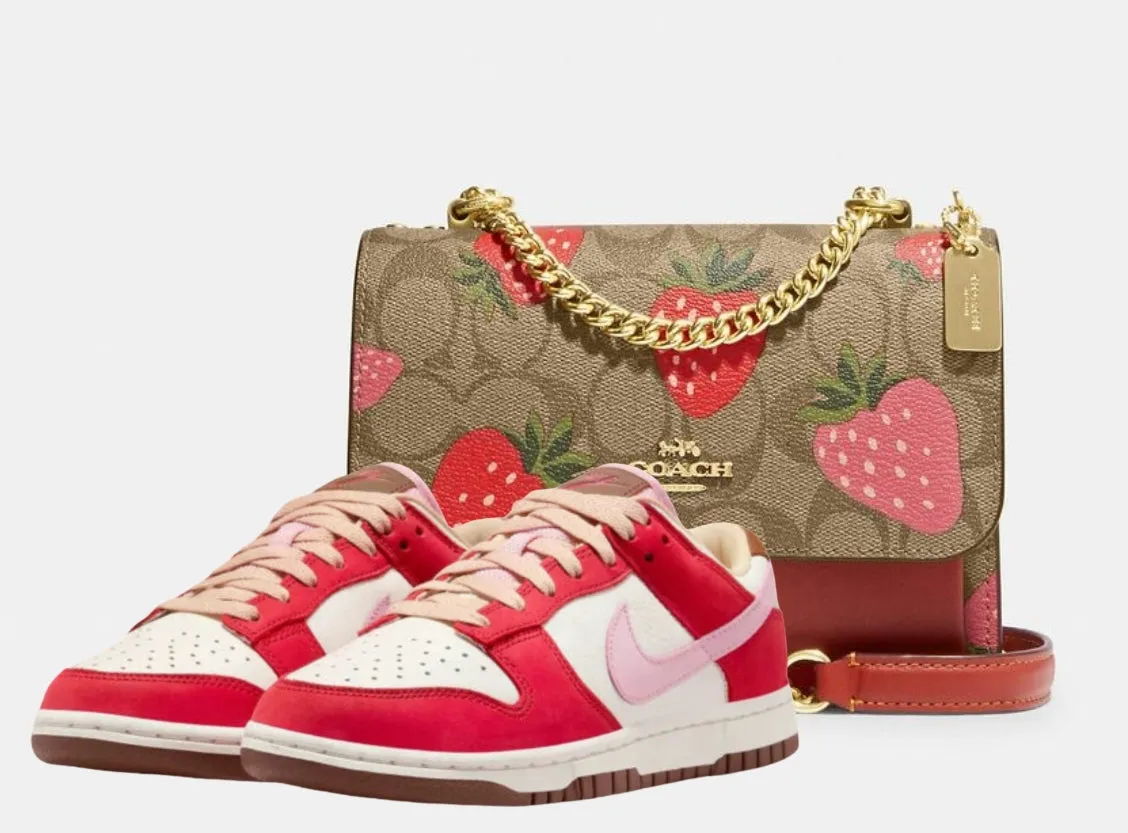 Nike dunk low bacon combo coach bag