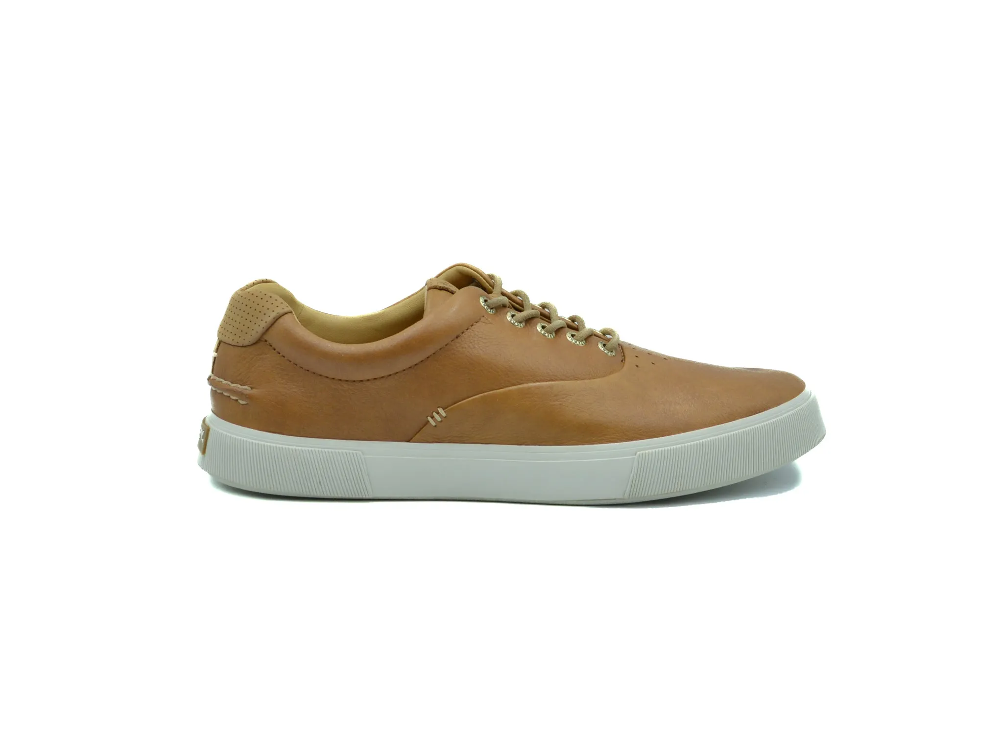 SPERRY Gold Cup Striper PLUSHWAVE CVO Sneaker