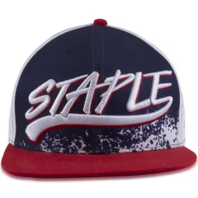 Staple Team USA Olympic Red, White, Blue Snapback Hat