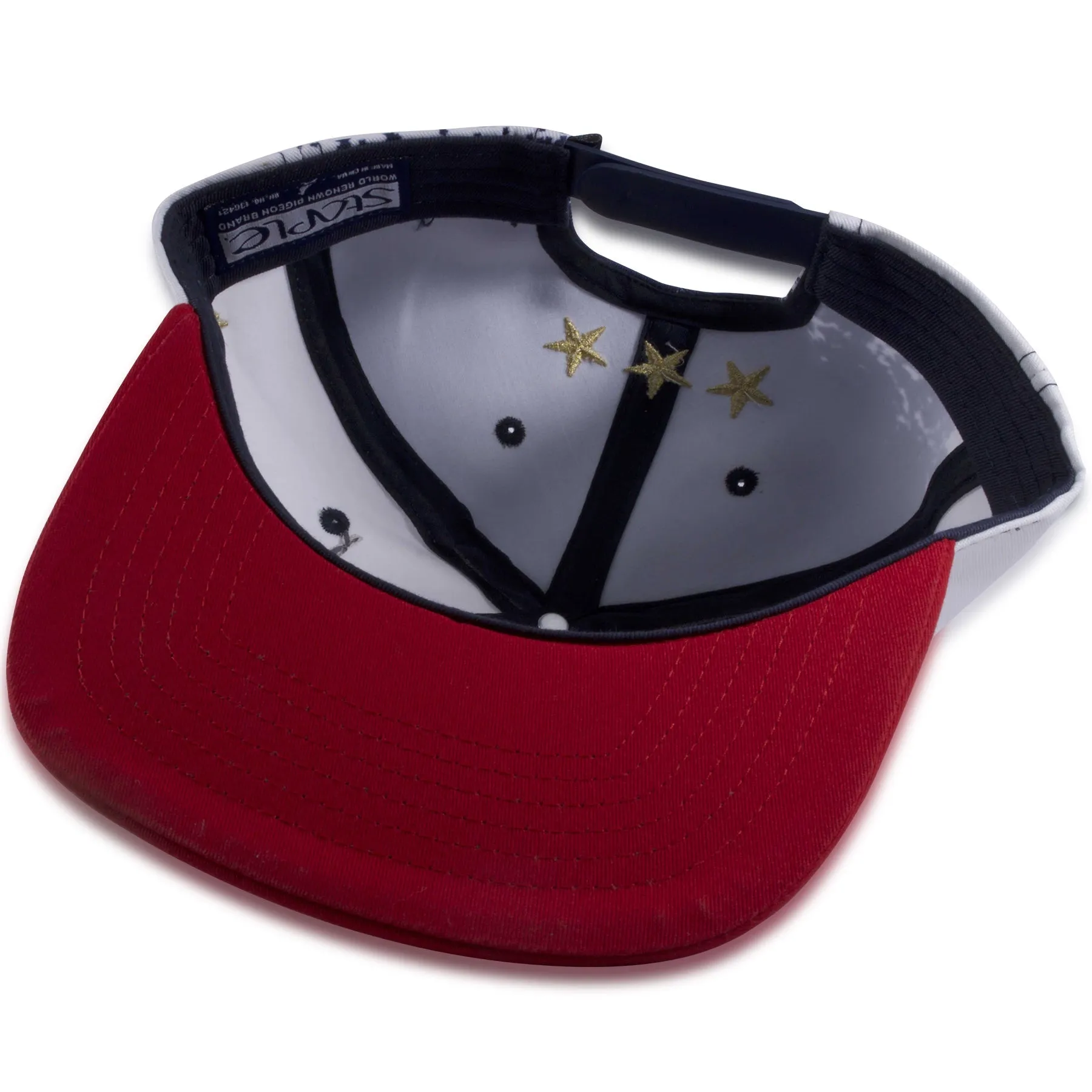 Staple Team USA Olympic Red, White, Blue Snapback Hat