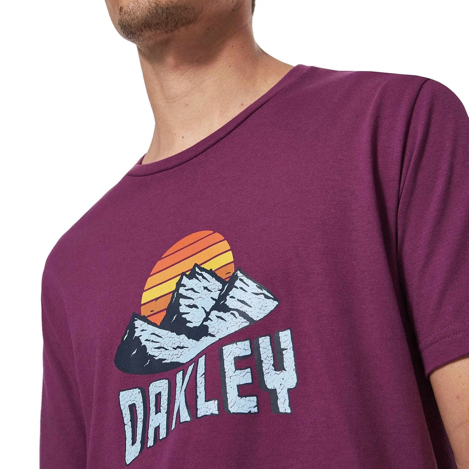 T-Shirt Oakley Matterhorn - Dark Purple - men´s